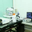 激光扫描共聚焦显微镜