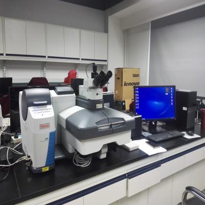 动态反应分析系统