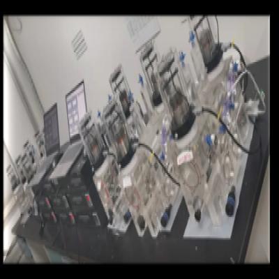 人工心脏瓣膜耐疲劳性能测试机