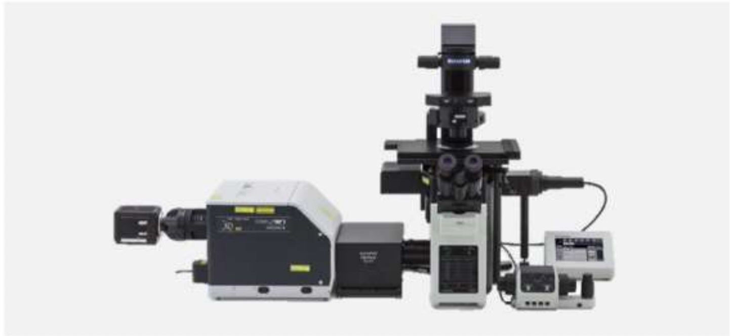 转盘共聚焦超分辨显微镜