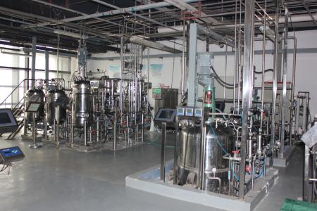 国产发酵罐（1000L含控制系统）